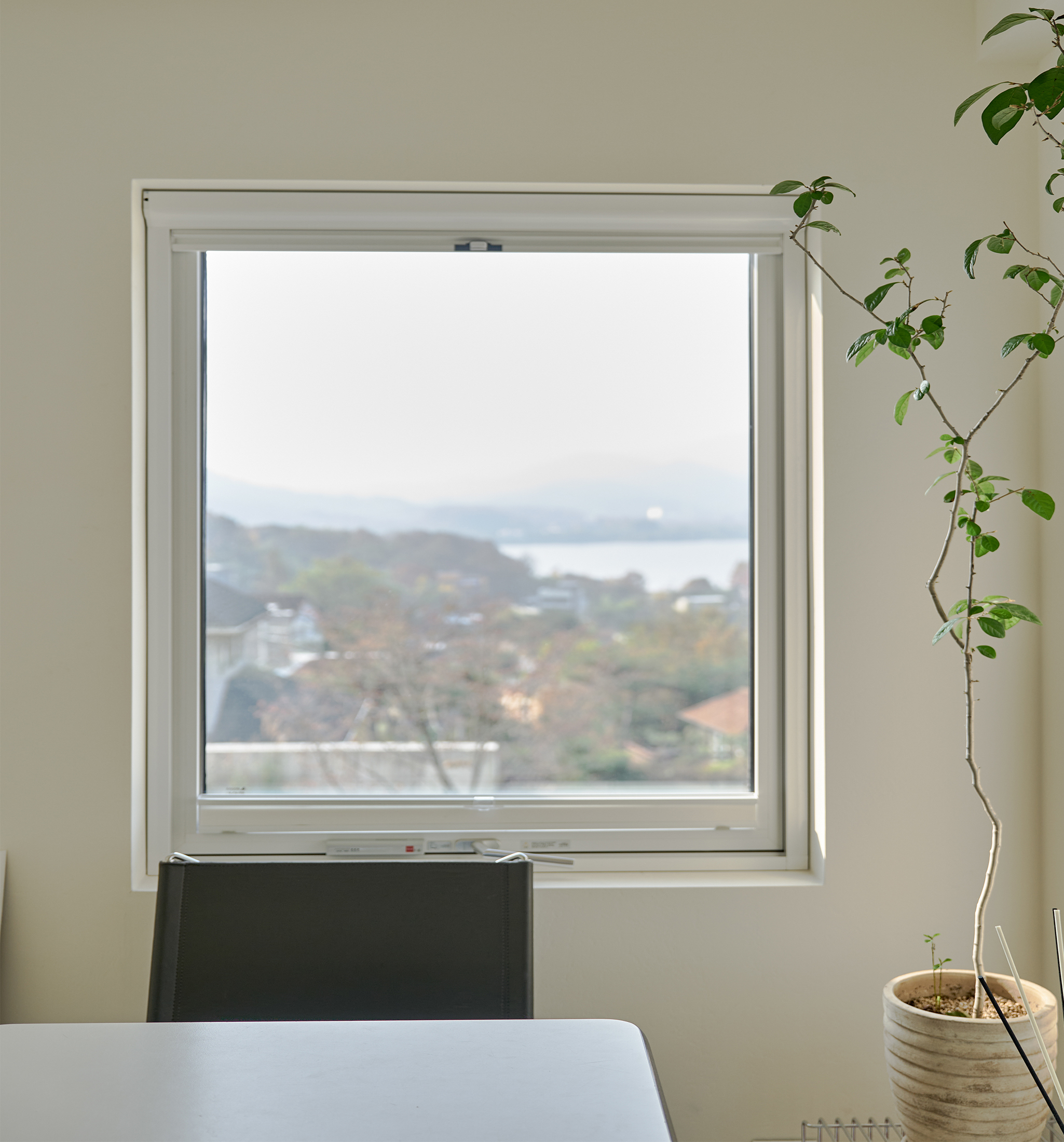 Insect-proof mesh window